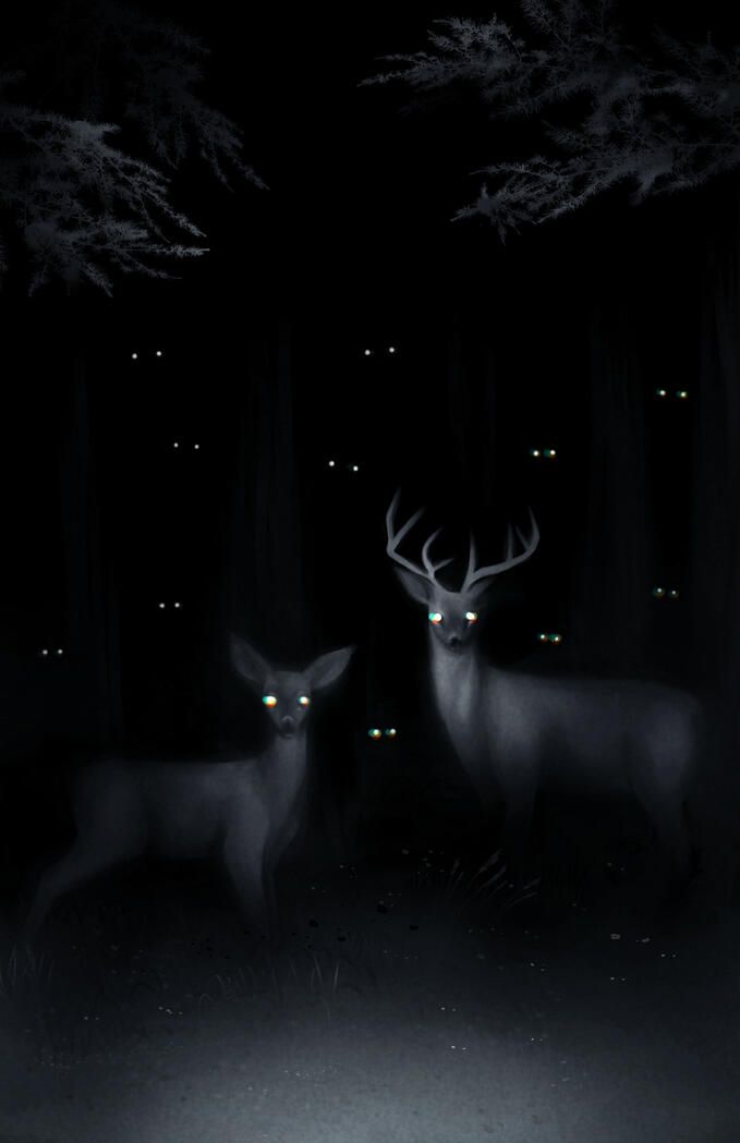 Not Deer