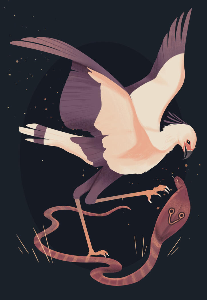 Secretary Bird - Original